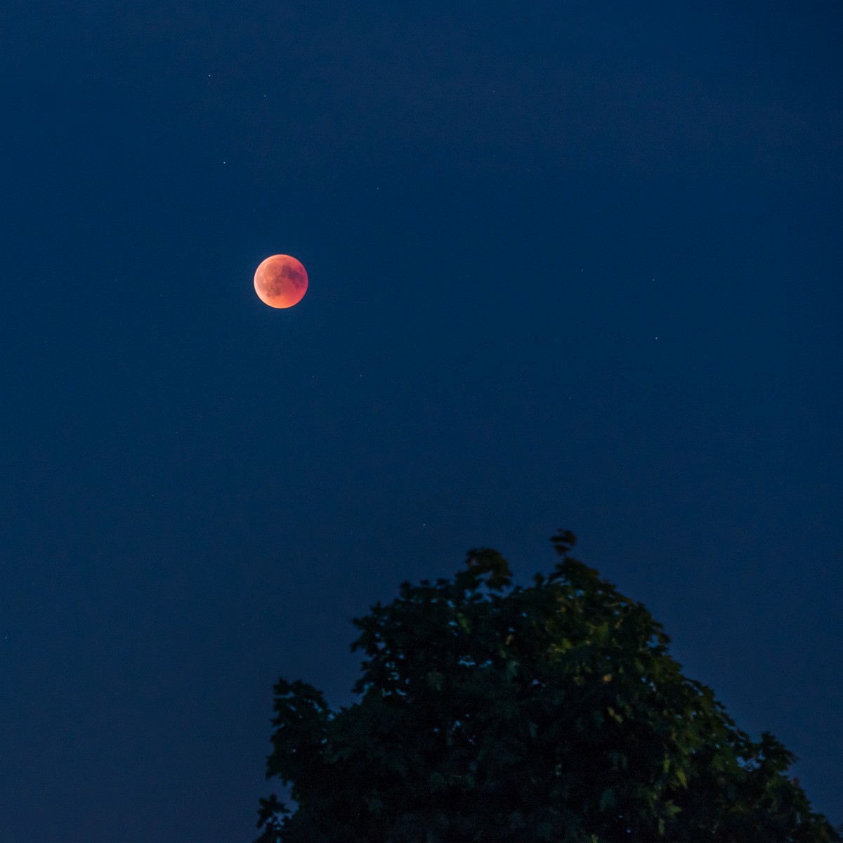 foto: [20180727PV2801-2]